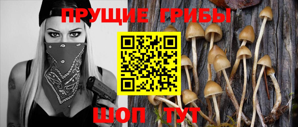 Псилоцибиновые грибы ЛСД Ахтубинск